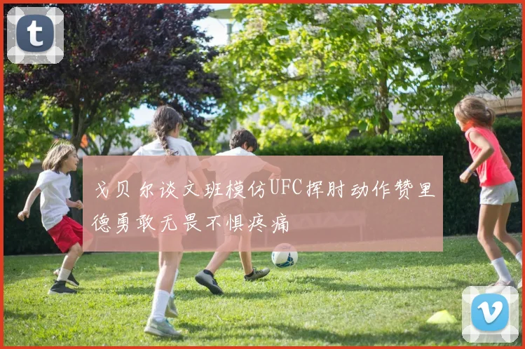 戈贝尔谈文班模仿UFC挥肘动作赞里德勇敢无畏不惧疼痛