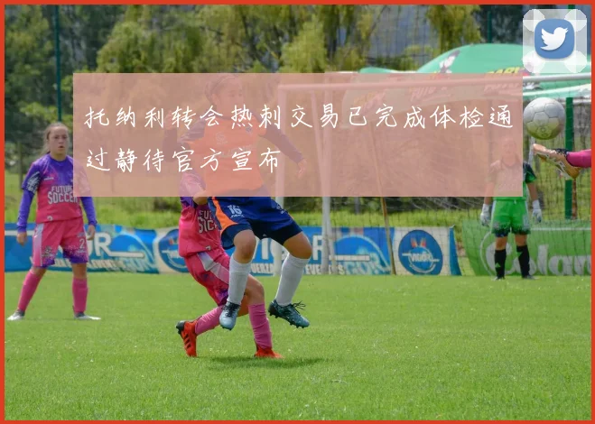 托纳利转会热刺交易已完成体检通过静待官方宣布