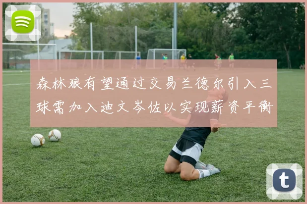 森林狼有望通过交易兰德尔引入三球需加入迪文岑佐以实现薪资平衡